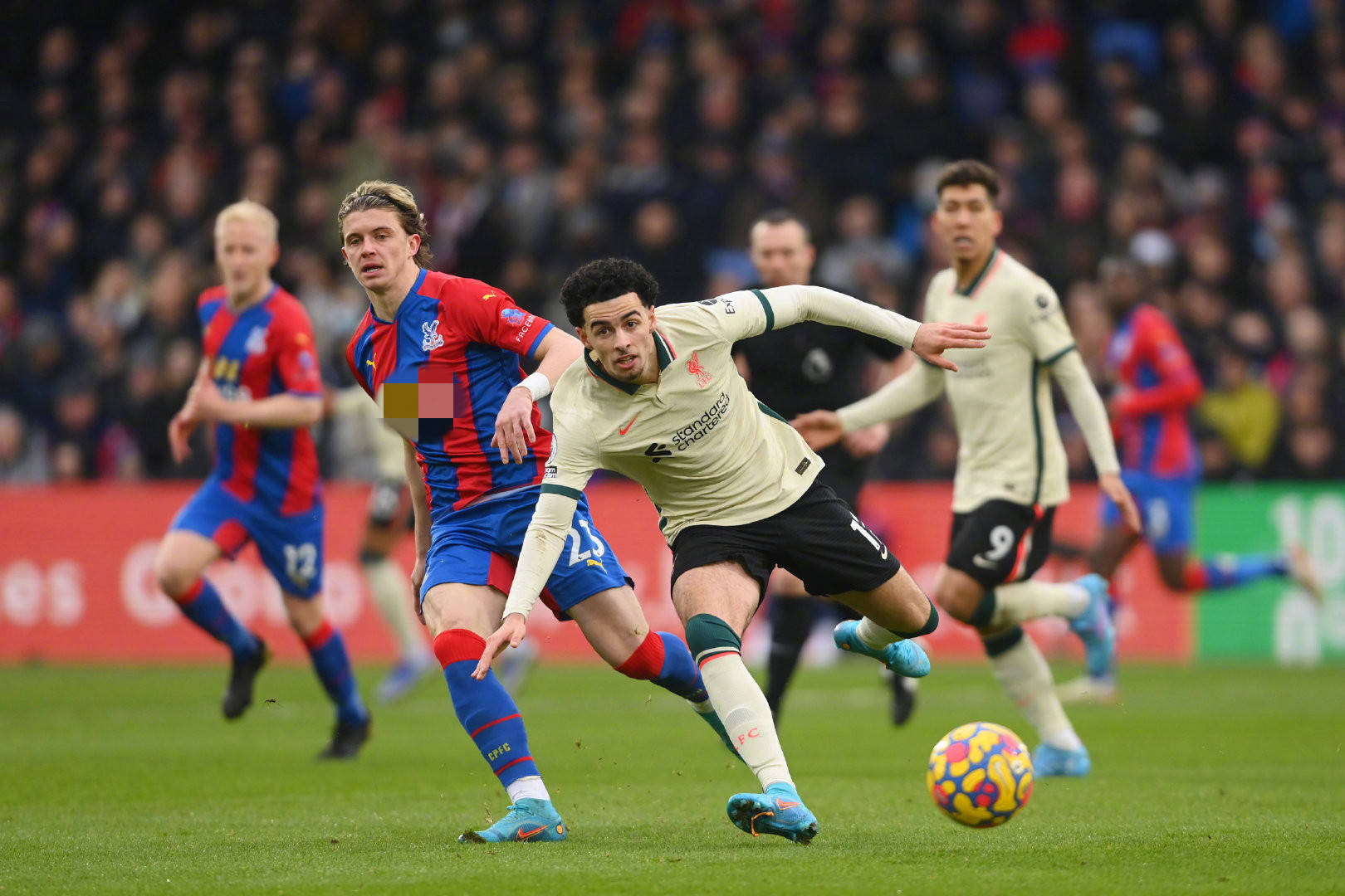 这支令世界 这支令世界